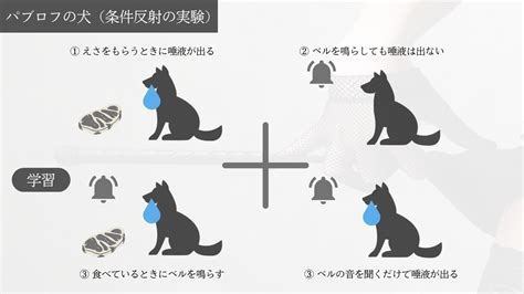 脳イキの仕組みを徹底解説してみた！〜体の仕組みと。